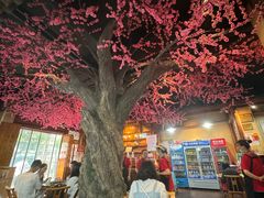 -张关合渣(朱家坳店)