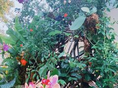 -人民公园(罗湖区)