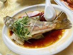 -老字号蛇口德记烧腊饭店·海鲜加工