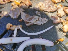 -外婆掌柜·东北家庭烤肉(托乐嘉店)