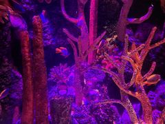 -沈阳海洋探索中心