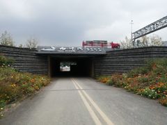 -白鹭湾湿地公园