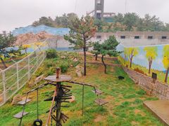 -西霞口神雕山野生动物世界