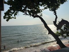 -卷心菜和避孕套餐厅(Pattaya)