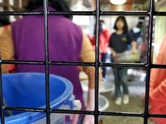 -金盆阿嬷香菇茶叶蛋(玄光店)