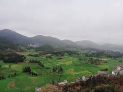 -牛街螺丝田