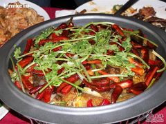 印度阿三的鱼头1-甲21号招待所