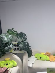 -凡碧诗毛孔清洁收细