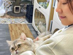 -青奢宠物·青奢猫舍