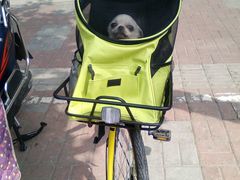 -畜牧兽医站(共江路店)