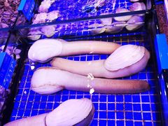-青蓬蒸汽海鲜·深圳老字号·团建聚会(壹方城店)
