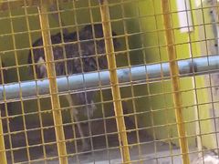 -荆州中山公园动物园