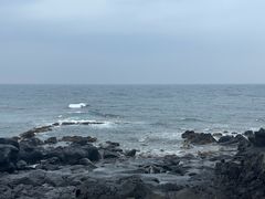 -涉地可支