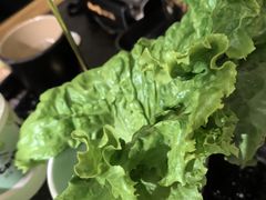 -九田家黑牛烤肉料理(珠江摩尔店)