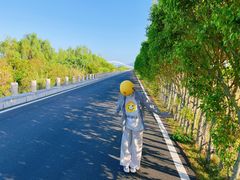 -芒洲湿地公园