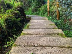 -鼓岭旅游度假区