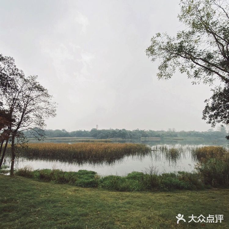 成都攻略|北门上的生态公园—北湖公园