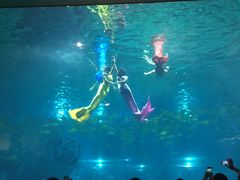 -福州罗源湾海洋世界旅游区