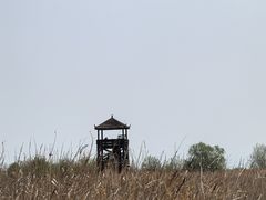 -盐城丹顶鹤湿地生态旅游区