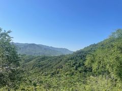 -北京鹫峰国家森林公园