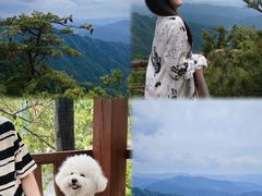 -王顺山国家森林公园