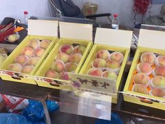 -南汇水蜜桃采摘(大团店)