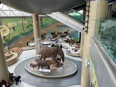 -陕西自然博物馆