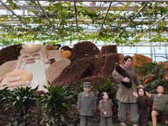 -兰陵国家农业公园