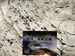-中国地质博物馆