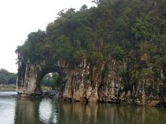 -椿记烧鹅(叠彩店)