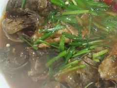 -小叶大馅饺子城