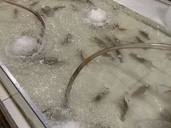 -芭提雅Amporn Seafood自助餐厅