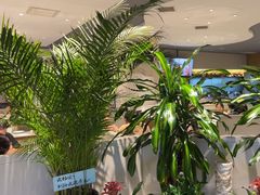 -马仕玖煲(万宴城店)