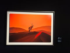 -罗红摄影艺术馆