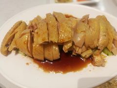 -Asianplus海蓝鸡饭