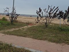 -东戴河风景区-止锚湾