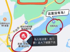 -沈阳鸟岛