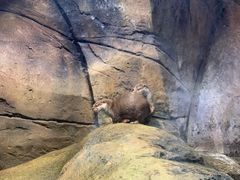-哈尔滨波塞冬海底世界