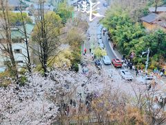 -南京城墙景区