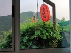 -慢丽江·云南野生菌土鸡锅(西山店)
