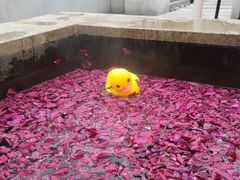 -北京益泉花园酒店