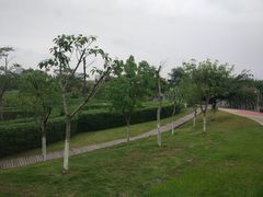 -眉山湿地公园(东坡区)