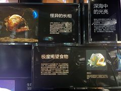 -同济大学四平路校区深海探索馆