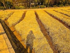-韶山毛泽东同志故居