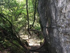 -山王坪喀斯特国家生态公园