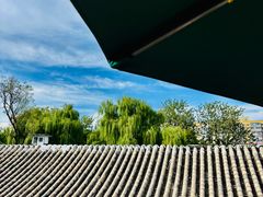 -Sirena海妖日咖夜酒