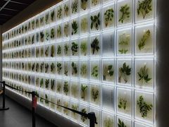 -广东中医药博物馆