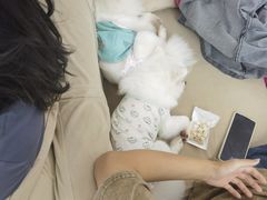 -怪兽屋·羊驼·猫咖·狗咖(俊华广场店)