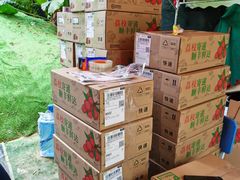 -鹏城八珍深圳特产手信(罗湖店)
