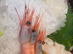 -牛YO寿喜烧火锅自助(三台子万象汇店)